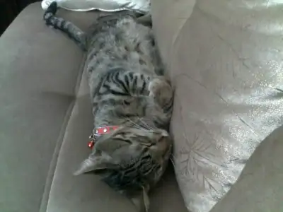 $30112011869.webp