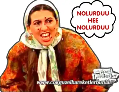 $nolurdu.webp