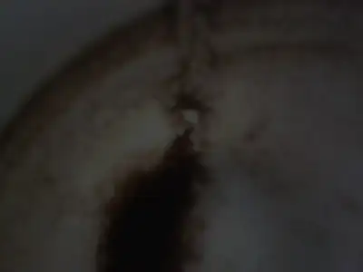 $2012-03-29 22.55.41.webp