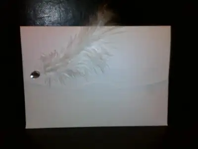 $29032012569.webp