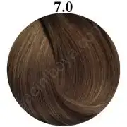 $pr_01_509_min.webp