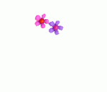 $37c353320a604c391f87be3449efe8de.gif