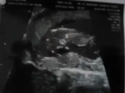 $11+4(02.04.2012) (2).webp