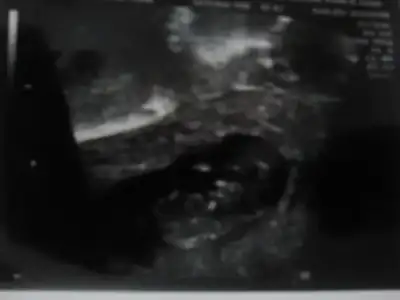 $11+4(02.04.2012) (4).webp