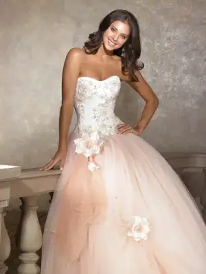 $31500490.webp