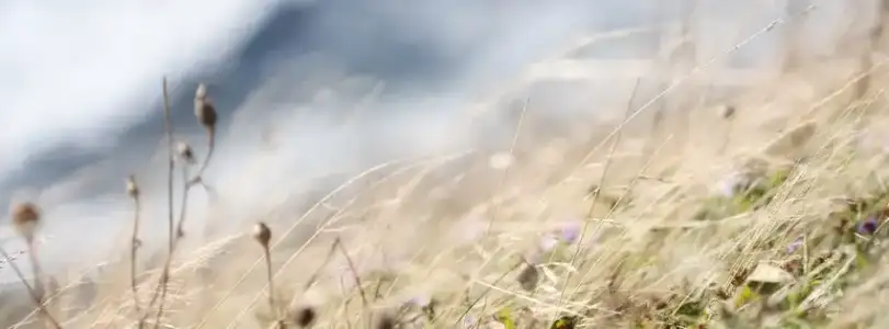 $Windy_near_the_Water-cover-photo-654.webp