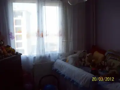 $100_2637.webp