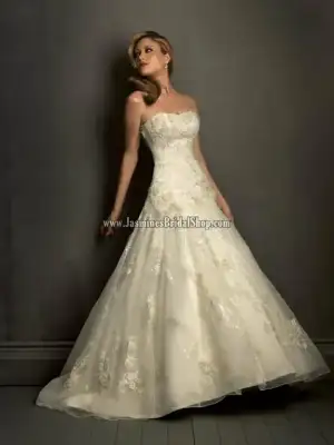 $8720BG-b[1].webp