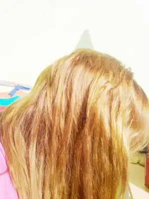 $08042012657.webp