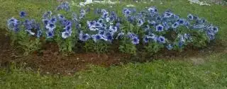$(e)SP_A0435 0.webp