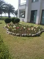 $(e)SP_A0454.webp