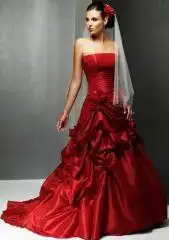 $image-ACE6_4B278104.webp