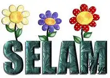 $selam.webp