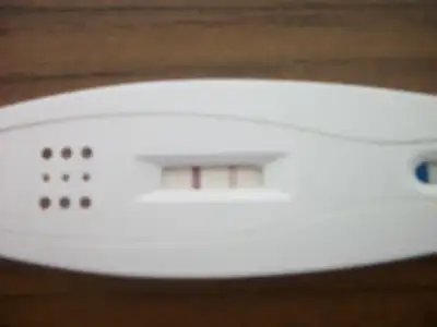 $100_1685[1].webp