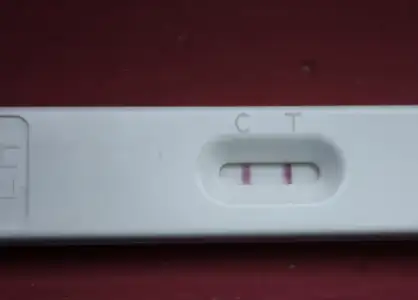 $10nisan12-opk.webp
