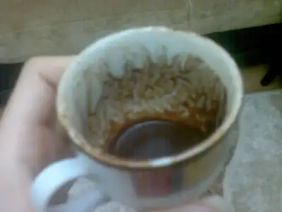 $07042012682.webp