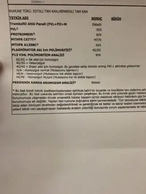 70869183_427071671255636_4992444640268386304_n (1).webp