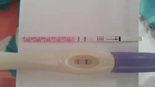 WhatsApp Image 2019-09-28 at 11.09.40.webp