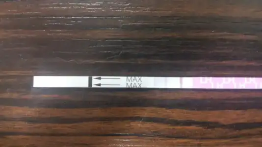 WhatsApp Image 2019-09-30 at 08.42.15.webp