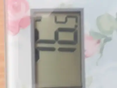 15701685724031833410349.webp