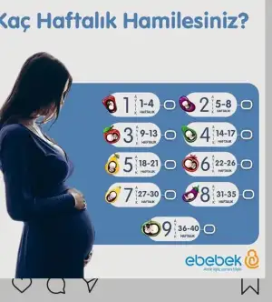 DD483828-02E8-4280-862D-F8F3B8ED7E36.webp