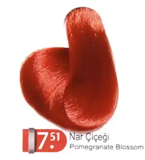 $7_51NarCicegi.webp