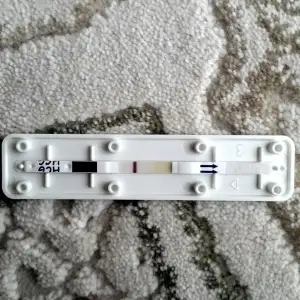 2019-10-15 11.16.34.webp