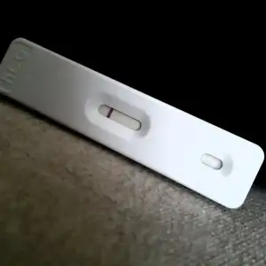 2019-10-15 17.48.47.webp