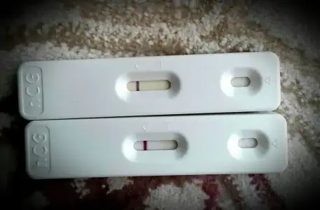 2019-10-16 12.14.10.webp