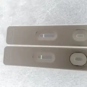 2019-10-16 21.03.18.webp