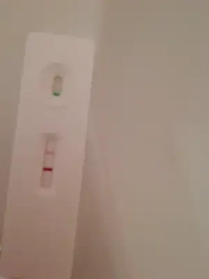 15712918122141376423556759331175.webp