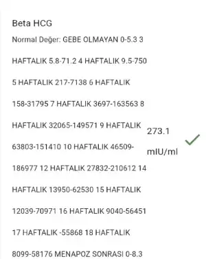 Screenshot_20191017_123222.webp
