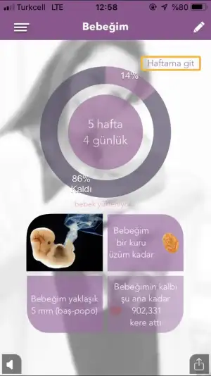 0654C764-6D13-491E-BA85-71B2D5C70D67.webp