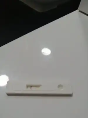 15714023116659087739298160587764.webp