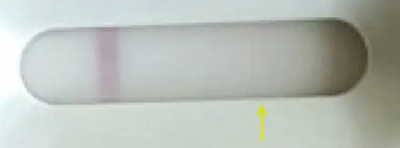 18-10-2019 16-21-48.webp