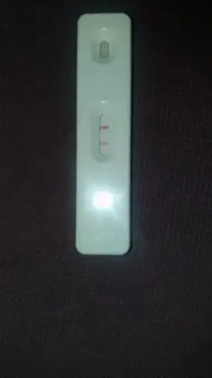 20191018_130800.webp