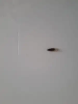 0F6B8267-D3AC-4EE6-9C73-5278D9FA4125.webp