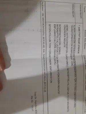 milyoner bir erkekle nasıl tanışılır uykucu sandy