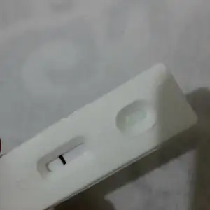 2019-10-19 20.32.32.webp