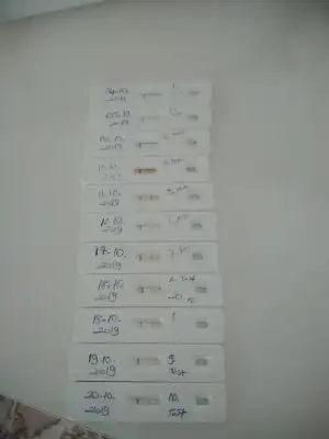 15715645637021365902466.webp