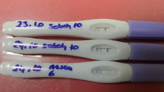 WhatsApp Image 2019-10-24 at 18.06.37.webp