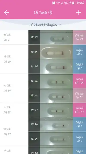 Screenshot_20191024-184658.webp