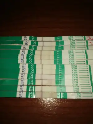 1572021251228244011820793108455.webp