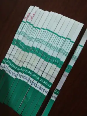 15721078823696177435501701816557.webp