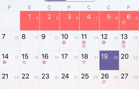 79AB786E-C996-44A0-A788-727FCE40680F.webp