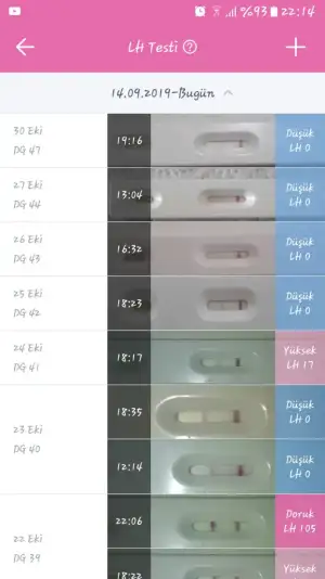 Screenshot_20191030-221406.webp