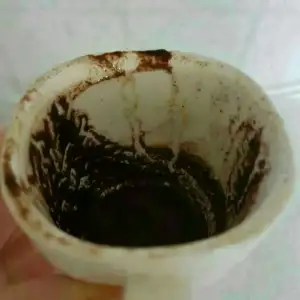 1572895309686.webp