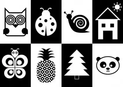 33F130B5-50CF-4686-871A-EB4105B85387.webp