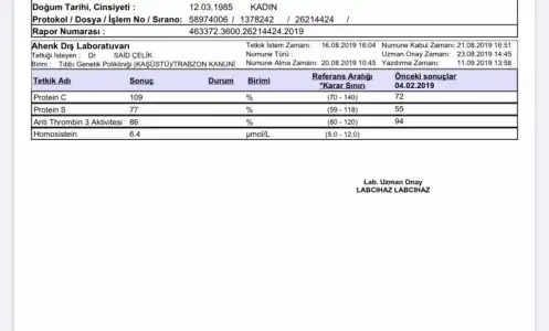 DE3C8CD6-3904-4A34-BE36-90208A626A7E.webp