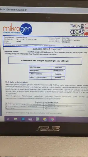 WhatsApp Image 2019-10-14 at 14.03.49.webp